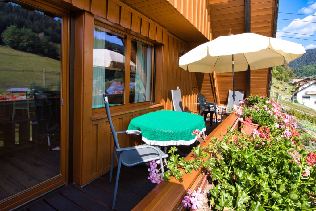 IMG_2622 Fewo5 Balkon