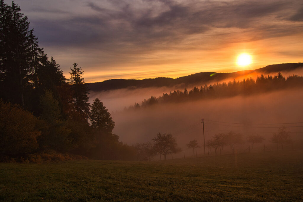 sonstiges-schwarzenbruch